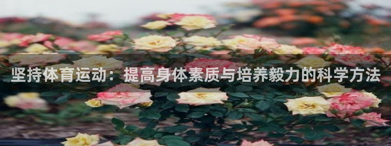 6t体育旧版：坚持体育运动：提高身体素质与培养毅力的科学方法