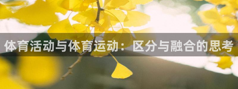 6t体育网站推荐