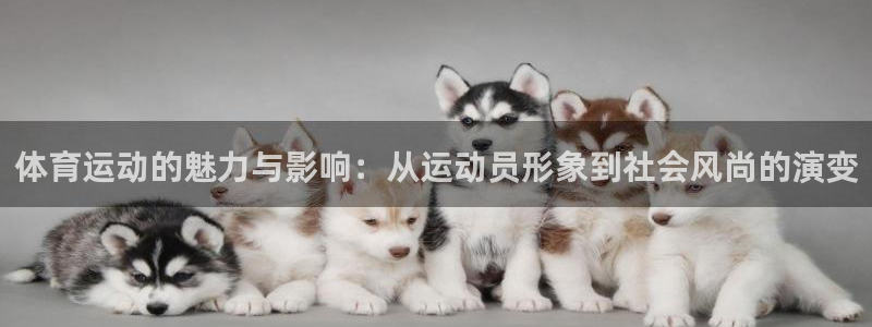 6t体育官方网站入口