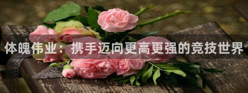 6t体育官方网站