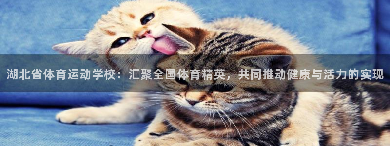 6t体育可靠吗