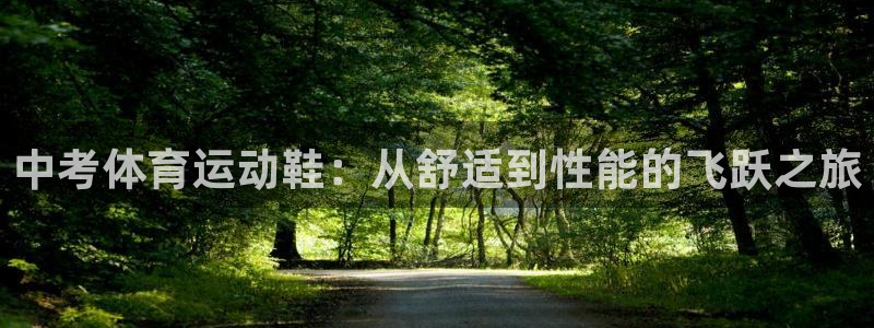 6t体育官网入口地址